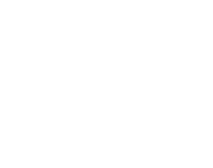 SuomiAreena Logo valkoinen
